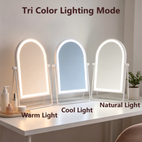 Professional LED Vanity Mirror 3 Color Modes Dimmable Touch Control Metal+Glass Oval Shape Magnifying Feature Personalized