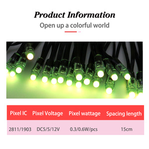 Luci LED Pixel RGB Colorate per Esterni, Illuminazione per Parchi, Giardini, Festività, <span class=keywords><strong>Casa</strong></span>, 12V 24V Impermeabili IP68 - Product Image 2