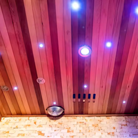 Nouveau style pas cher 2 personnes intérieur solide pruche spectre complet sauna infrarouge rouge thérapie par la lumière infrarouge lointain sauna spa