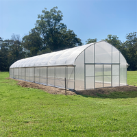 Serre agricole à bas prix Maison en plastique Polytunnel Pe séchoir solaire à travée unique à vendre