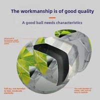 Ballon de football professionnel Wald Sports à 12 panneaux, cousu à la machine, écologique, durable, léger, en PVC pour intérieur/extérieur