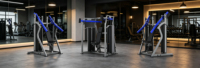 Machine professionnelle de musculation dorsale à double pile de poids Xinrui pour entraînement du dos en salle de sport
