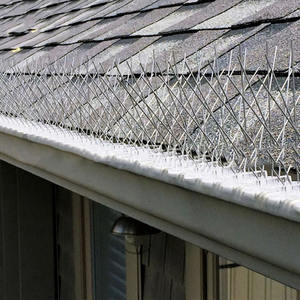 Offre Spéciale réglable professionnel inoxydable physique répulsif Anti escalade cour <span class=keywords><strong>Pigeon</strong></span> contrôle pointes d'oiseaux pour la ferme - Product Image 6