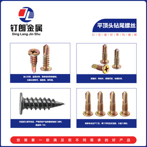 Ding Lang Jin Shu <b>Flat</b> Head Self Tapping <b>Screws</b> M4.8x16 Metric Grade A For Construction Industry - Product Image 4
