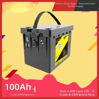 Paket Baterai LiFePO4 DC 12V 100Ah Isi Ulang Sel Lithium Iron Phosphate untuk Pasokan Daya Harian