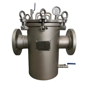Filtro a cestello in acciaio inossidabile di filtrazione dell'acqua di alta qualità di vendita calda/SS304/SS316/2205/2507