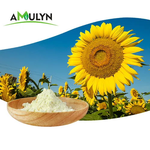 Großhandels preis Sonnenblumen-Lecithin-Pulver Sonnenblumen kernex trakt 20% 50% 70% Phosphat idyl serin pulver