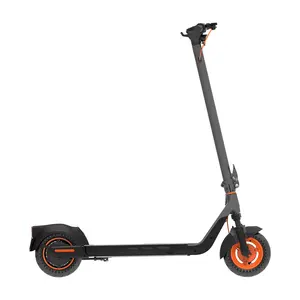 EU USA Stock 40Km Long Range 1000W Powerful Dual Drive Electric Scooters Electr 10inch Tires Folding EScooter For Adult Raycool