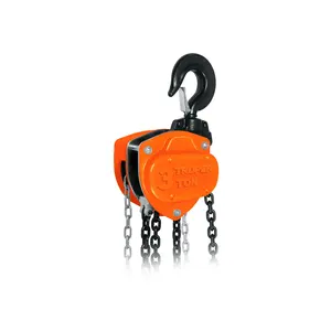 Truper paranco a catena industriale da 3 tonnellate con motore in metallo 380V nuova condizione per l'edilizia mineraria uso domestico al dettaglio paranco elettrico - Product Image 1