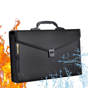 Tùy Chỉnh Organizer Tài Liệu Văn Phòng Đen <span class=keywords><strong>Pvc</strong></span> 24 <span class=keywords><strong>Pockets</strong></span> Chống Cháy A4 Accordion Mở Rộng Tập Tin Thư Mục - Product Image 1