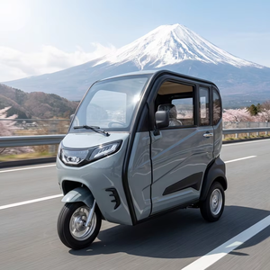 Véhicule électrique compact 3 places personnalisé en usine, 60V, à faible vitesse, à trois roues, avec guidon, <span class=keywords><strong>pour</strong></span> personnes âgées - Product Image 6