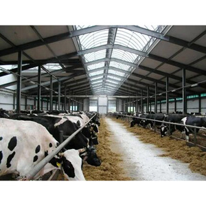 Diseño <span class=keywords><strong>de</strong></span> cobertizo <span class=keywords><strong>de</strong></span> cubículo <span class=keywords><strong>de</strong></span> <span class=keywords><strong>vaca</strong></span> lechera con marco <span class=keywords><strong>de</strong></span> metal barato/planes <span class=keywords><strong>de</strong></span> cobertizo <span class=keywords><strong>de</strong></span> <span class=keywords><strong>vaca</strong></span> simple <span class=keywords><strong>de</strong></span> granja lechera - Product Image 2