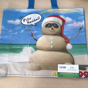 ถุงช้อปปิ้งผ้า PP แบบขายส่ง ทนทาน ใช้ซ้ำได้ พร้อมพิมพ์ลายตามสั่ง ถุงหิ้วเคลือบกันน้ำสำหรับโปรโมชั่น - Product Image 1