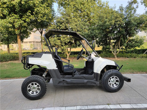 Buggy 2 places, buggy UTV, essieu UTV, pas cher - Product Image 2
