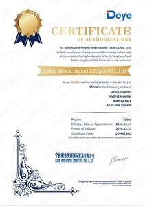 Inversor Trifásico Deye de 12kW, Modelo SUN-12K-SG04LP3-EU, Listo para Sistema, con Certificación CE, Simplifica la Instalación para Instalaciones de 30-100kW - Product Image 6