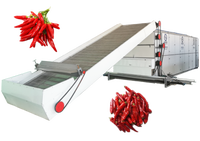 Séchoir à bande continue en acier inoxydable à chauffage au gaz, écologique, 220V, four de séchage à air chaud, moteur PLC, pompe de traitement alimentaire haute performance