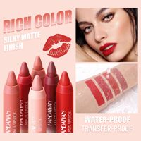 Crayon à lèvres mat deux-en-un, waterproof, anti-transfert, avec logo personnalisé, OEM, ODM, marque privée, vente en gros, fournitures cosmétiques
