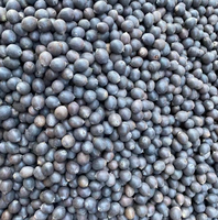 1kg Goedkope Prijs Bulk Rauwe Gehele Waterlelie Biologische Eetbare Lotuszaden van Lotusbloemzaad