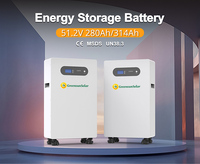 LiFePO4 Battery 51.2V 314Ah 16kWh IP20 IP65 BMS Built-in Solar Energy Storage Battery for Solis Deye Inverter