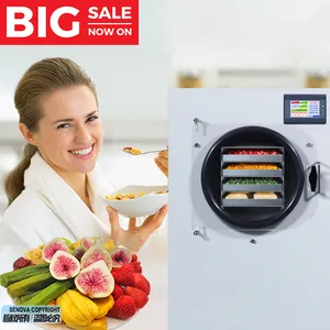 4Kg Small Domestic Home Vacuum Vegetable Flower Food Fruit Freeze Drier