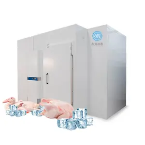 Congelador/refrigerador/cool/cold storage com unidade de refrigeração do compressor para carne/legumes/peixe/frutas