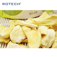 Machine de lyophilisation industrielle à haute productivité pour fruits et aliments