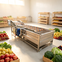 Hoge capaciteit continue luchtbelreinigingsmachine voor fruit, groenten en schaalvis