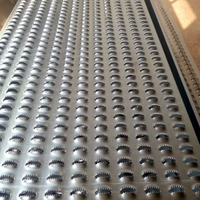 Plaque de sécurité perforée en alliage d'aluminium sur mesure, type grille de sécurité, à motif crocodile, antidérapante, pour marche d'escalier et rampe de remorque
