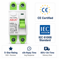 Disjoncteur différentiel électromagnétique RCCB 2P 4P 16A-63A 30mA 100mA 300mA Type AC RCD 6kA 10kA Rail DIN IEC61008 CE