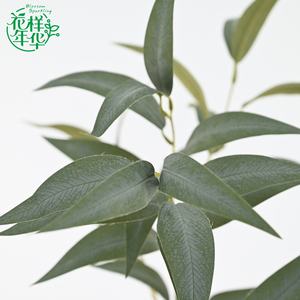 Feuillage d'eucalyptus artificiel <span class=keywords><strong>de</strong></span> luxe <span class=keywords><strong>de</strong></span> 94 cm, 36 tiges pour la décoration des centres <span class=keywords><strong>de</strong></span> spa, l'installation florale d'arches <span class=keywords><strong>de</strong></span> mariage et la planification d'événements - Product Image 3