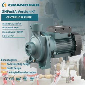 Pompe à eau centrifuge horizontale haute pression Grandfar 220V 1100W, modèle GHFm5A, pour l'irrigation agricole – Vente chaude OEM/OBM - Product Image 1