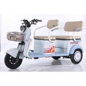 3 <b>Wheels</b> Lead-Acid Battery Brushless Motor 600W 48V/60V Carbon Steel Frame Tricycle - Product Image 4