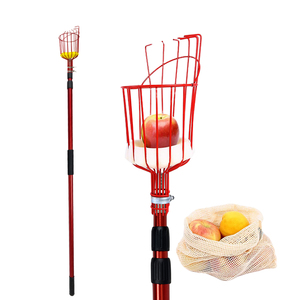 Recolector <span class=keywords><strong>de</strong></span> Frutas Telescópico <span class=keywords><strong>de</strong></span> Aluminio con Mango Largo para Árboles <span class=keywords><strong>de</strong></span> Manzana y Naranja, Herramienta con Cesta Recolectora - Product Image 2