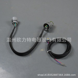 ชุดสายไฟอะแดปเตอร์สายส่ง18VSS LQ4 LM7 LS1 5.3 4L60E กับชุดสายไฟ4L80E ยานยนต์ - Product Image 2