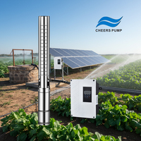 Pompe à eau solaire submersible en acier inoxydable à moteur CC sans balais haute pression OEM pour l'irrigation agricole