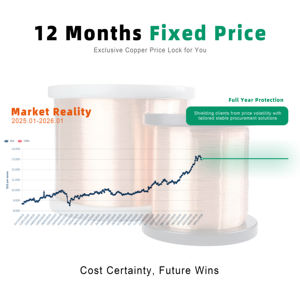 <span class=keywords><strong>Cable</strong></span> <span class=keywords><strong>de</strong></span> Alambre <span class=keywords><strong>de</strong></span> un Solo Núcleo UL1332 <span class=keywords><strong>de</strong></span> 600 V, 18/20 AWG, Resistente al Calor, con Aislamiento <span class=keywords><strong>de</strong></span> FEP, Utilizado para Cableado <span class=keywords><strong>de</strong></span> Motocicletas, <span class=keywords><strong>Precio</strong></span> <span class=keywords><strong>de</strong></span> Fábrica BEIDI - Product Image 2