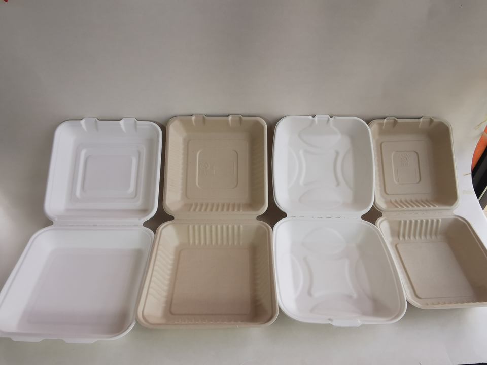 Compostable Bagasse Food Container Sugarcane Pulp Lunch Box Eco ...