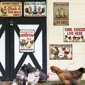 Juego de Letreros Metálicos Divertidos para <span class=keywords><strong>Gallinero</strong></span> - Placa de Bienvenida Rústica para Casa de Campo y Decoración Humorística para Pared - Product Image 2