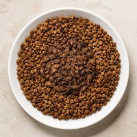 Thé d'orge torréfié en pot de verre 300g, thé aux graines de cassia, sans caféine, boisson naturelle et saine