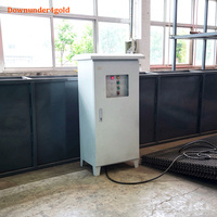 Installation de Lavage d'Or Automatique à Grande Échelle avec Écran Vibratoire pour Économie d'Énergie et Séparation de l'Or pour les Déposits Alluvionnaires Fluviaux