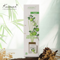 Diffuseur de parfum sans flamme 120 ml, coffret cadeau spécial avec bouteille en verre, décoration d'intérieur, l'air est frais et désodorisé