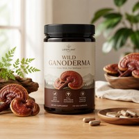 Poudre de Reishi Sauvage Naturelle Lyophilisée LP-22 pour le Soutien Immunitaire, Extrait Pur de Ganoderma Sauvage Premium 100% Brut