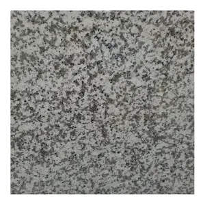 GRANITO BLANCO chino G439 precio por pie cuadrado, granito gris claro Pauline de alta calidad G439