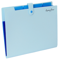 Logotipo personalizado A4/Tamaño de carta expandible multibolsillo botón a presión carpetas de archivos organizador duradero básico Cartera de oficina bolsa de documentos