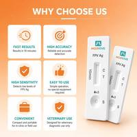 Kits de bandelettes de test vétérinaire pour le diagnostic rapide de l'antigène du virus de la panleucopénie féline (Ag FPV) chez les chats, certifiés CE, valables 2 ans