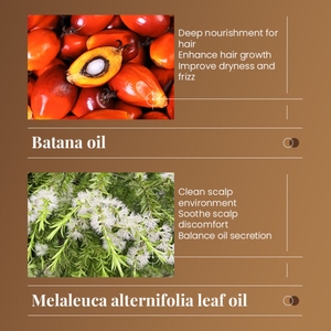 Shampoing et après-shampoing bio en gros sous marque privée pour soins capillaires aux huiles essentielles, masque capillaire réparateur 100% huile <span class=keywords><strong>de</strong></span> Batana sous marque privée - Product Image 4