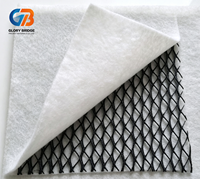 Filet de drainage en plastique tridimensionnel, couche de drainage imperméable pour les décharges, les routes et l'ingénierie civile