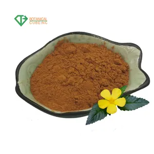 damiana extract 1001damiana leaf extract damiana leaf extract powder for capsule