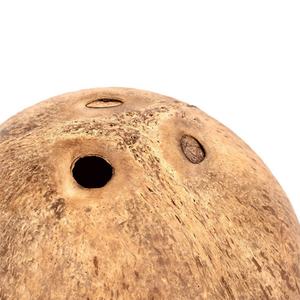 Literie de cabane de noix de coco en bois confortable et conteneur de bain de sable cachette de litière d'hiver pour petits animaux de compagnie - Product Image 4