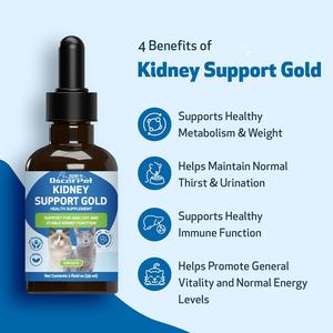 ओएम/ओडीम ऑस्कार पालतू तरल पूरक गुर्दे का समर्थन करता है और रेमानानिया और कॉर्डिइसेप्स फेलिन गुर्दे के स्वास्थ्य का समर्थन करता है - Product Image 3